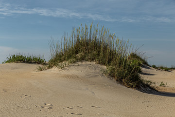 sand dune