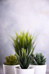 Artificial flowers grass different form in a pot on wooden background close up with copy space and text