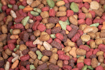Top view of dog food. Red, green and brown dog treats. Close up
