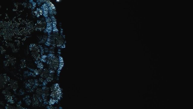 Chemistry. Crystal Growth Chemical Reaction Microscop Timelapse