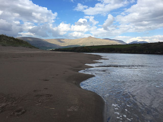 Large seashell and washed up kelp on sand with beach and sea background at Papamoa Tauranga, New Zealand