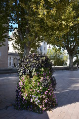 Flowers in the square in front of the royal castle in Pau, Bearn, France