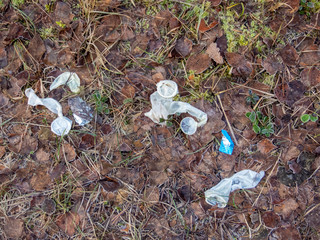 Used and knotted white condoms left in the autumn forest on ground with leaves, grass and frost,...