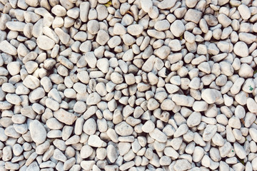 White stones in a backyard
