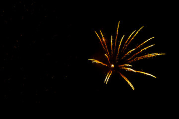 Yellow fireworks in the shape flowers on the black background.