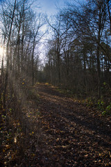 Natur pur