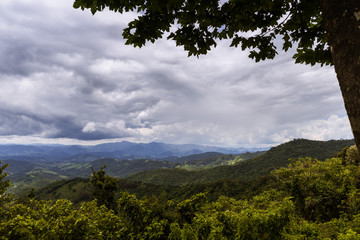 Fototapeta na wymiar Paisagem mostrando natureza preservada na região da Serra da Mantiqueira entre São Paulo e Sul de Minas Gerais. Brasil. 