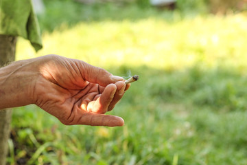 Hand With Smoking Cigarette