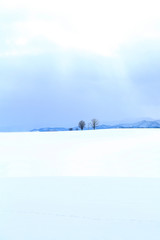 北海道の冬景色