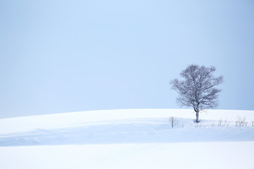 北海道の冬景色