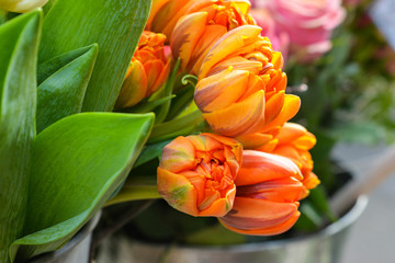 Orange tulips in a pot at the market