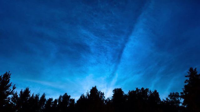 Time lapse of noctilucent clouds over forest