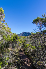 Fototapeta na wymiar réunion island