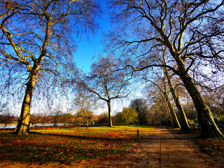 A park in Autumn on a sunny clear sky day