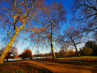 A park in Autumn on a sunny clear sky day