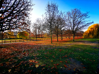 A park in Autumn on a sunny clear sky day