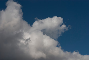 Fototapeta premium blue sky with clouds