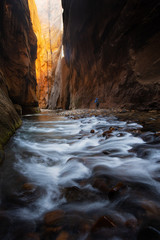 The Narrows at Zion National Park