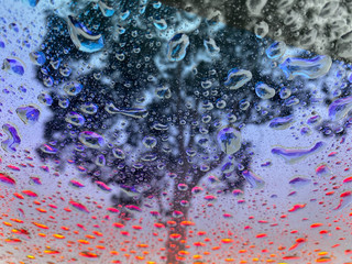 Water Drops reflecting a tree on the sunroof of a car