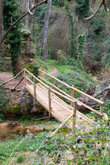 wooden bridge in the forest