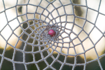 white wire lattice. Handmade web