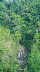 waterfall in the forest