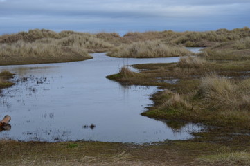 Kinshaldy Beach, Tentsmuir Forest, Leuchars, Fife, Scotland