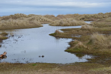 Kinshaldy Beach, Tentsmuir Forest, Leuchars, Fife, Scotland, December 2019