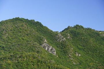 山脈緑葉