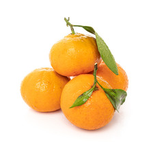 Ripe mandarines with leaves close-up on a white background