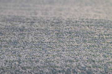 Close-up of light grey carpet texture background in conference room.