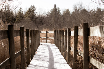 Marsh Boardwalk on Nature Trail in Early Winter