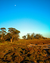 Dawn light in Murray-Sunset National Park
