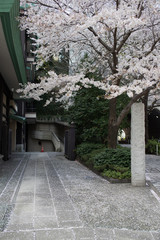 Fototapeta premium Tokyo Japan