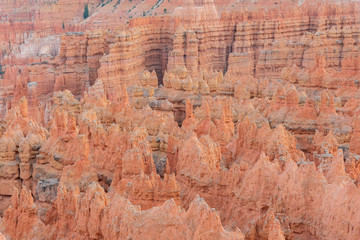 Afternoon view of the hoodoo in Sunset Point of Bryce Canyon National Park