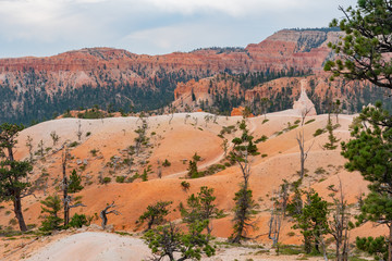 Beautiful morning view of the Sunrise Point of Bryce Canyon National Park