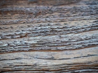 old wood texture, close up and selective focus .