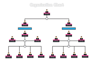 Fototapeta na wymiar Organization Chart, vector design