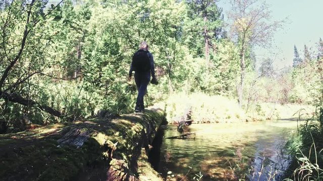 Traveler photographing scenic view in forest river. Wood bridge fallen tree. One caucasian woman shooting nice magic look. Girl take photo video on camera. Photographer travel with backpack. Outdoor.