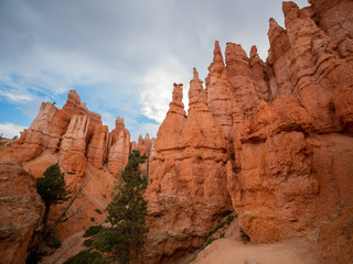 Fototapeta premium Hiking in the beautiful Queens Garden Trail of Bryce Canyon National Park