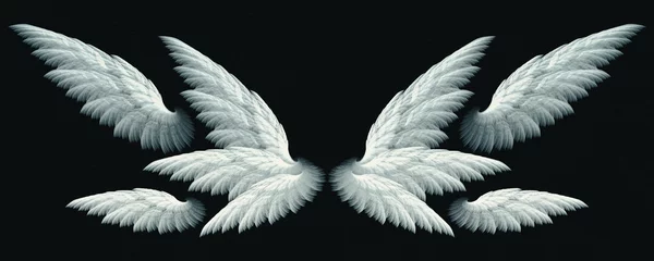 Fotobehang Fantasy white angel wings © Primada