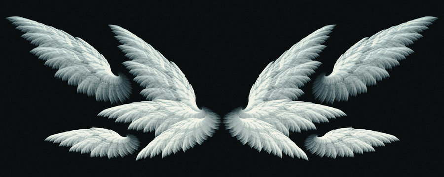 Fantasy white angel wings