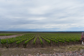 bodega argentina