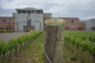 bodega argentina