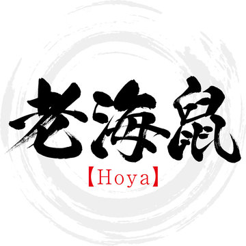 11 Best 老海鼠 Images Stock Photos Vectors Adobe Stock