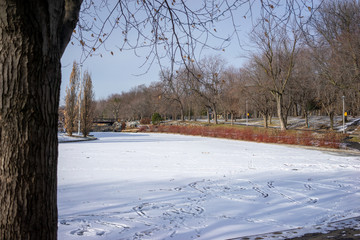 Snow in the park