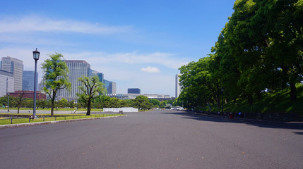 Obraz premium City road with background city and garden park