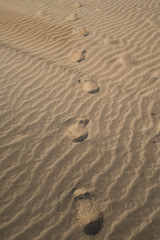Fototapeta na wymiar foot prints left in sand on beach, sand dunes footprint.