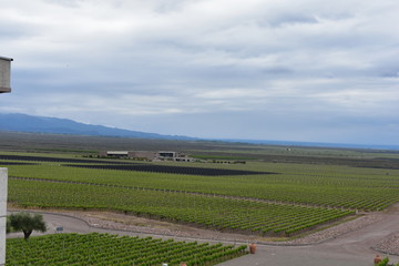 bodega argentina