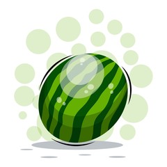 cartoon watermelon fruits design vector collection
